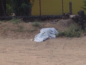 В Мелитополе возле магазина АТБ лежит труп  фото