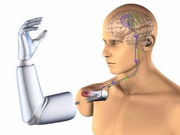 Ученые обещают дать человеку вторую жизнь фото