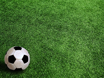 Будет ли доступно мелитопольцам новое футбольное поле в парке? фото