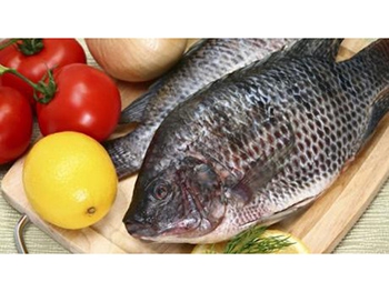 Рыба будет исчезать из рациона питания фото