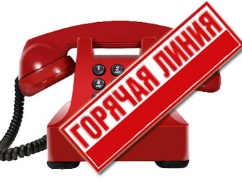 Вопросы по субсидиям можно задавать по телефону горячей линии фото