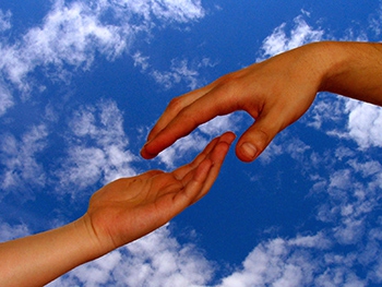 Как выжить в Мелитополе троим взрослым на 1200 гривен фото