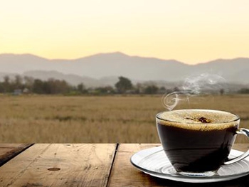 Ученые выяснили причину любви людей к кофе фото