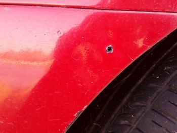 Неизвестные в камуфляже стреляли в известного мелитопольского волонтера и ее мужа фото