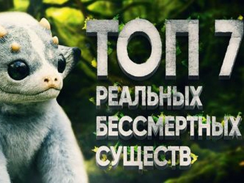 ТОП-7 бессмертных существ  фото