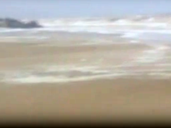 В сети опубликовали видео разгула стихии в Кирилловке фото