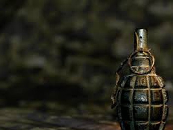 Во двор руководителя Хортицкого полка бросили гранату российские спецслужбы фото