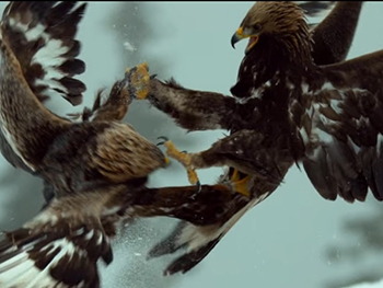 ВВС показала потрясающе красивый трейлер своего нового фильма Планета Земля-2  фото