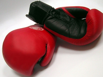 Мелитопольские боксеры завоевали медали всеукраинского турнира фото