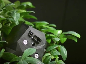 Растения-роботы собираются создавать европейские ученые фото