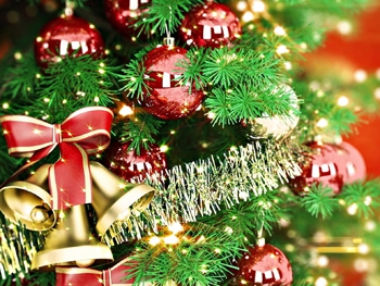 Мелитопольцев приглашают на праздник открытия главной елки города фото