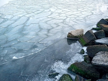 Берег Азовского моря покрылся льдом  фото
