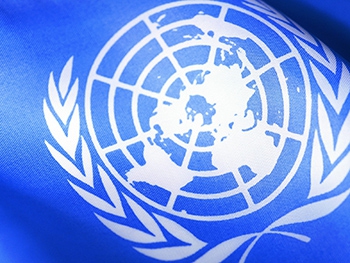 ООН заявила о сексуальном насилии на блокпостах в зоне АТО фото
