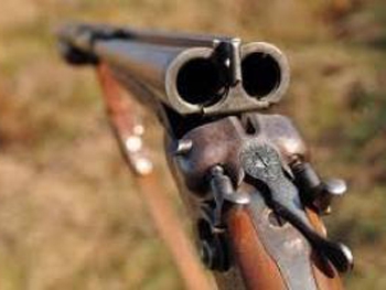 Киевлянин во время охоты застрелил уникального коня, стоимостью 50 тысяч евро фото