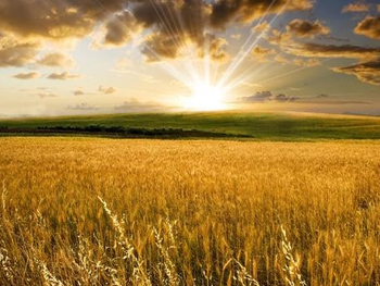 Главные достижения украинцев 2016 в одном ролике  фото