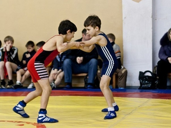 В Мелитополь приедут маленькие вольники со всей Запорожской области фото