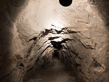 Что скрывает старый нацистский бункер? фото