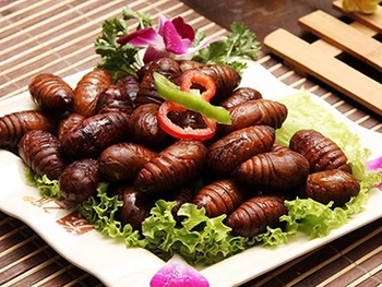 Ешьте насекомых: ученые фото