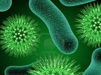 Как бактерии вызывают дождь  фото