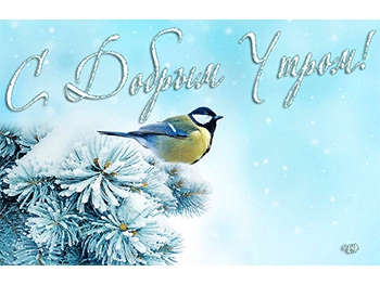 Доброе утро, Мелитополь фото