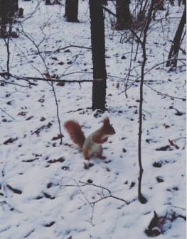 Доброе утро, Мелитополь фото