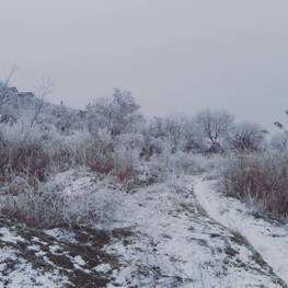 Доброе утро, Мелитополь фото