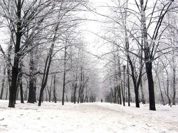 Доброе утро, Мелитополь фото