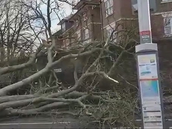 Британию накрыл мощный шторм Дорис, десятки пострадавших фото