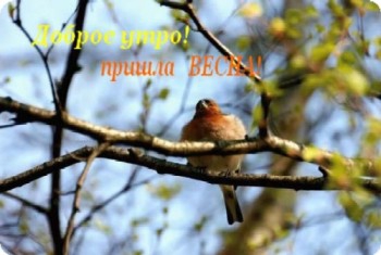 Доброе утро, Мелитополь фото