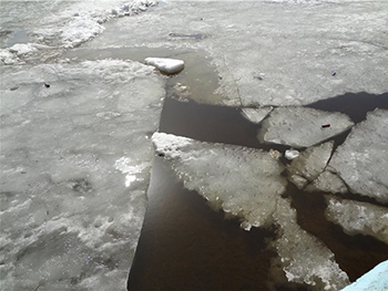Женщина вышла на лед Днепра и утонула фото