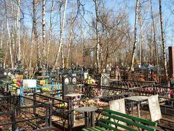 На кладбище в Лозовой нашли мертвую девочку фото