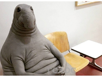 Как Ждун оккупирует медучреждения Запорожья (фотофакт) фото