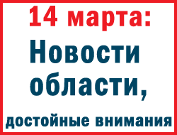 В Запорожье День добровольцев оказался днем протестов фото