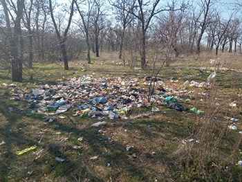 Исполком о свалке в лесопарке знал фото