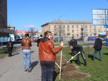 В Мелитополе озеленили три сквера фото