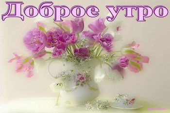 Доброе утро, Мелитополь фото