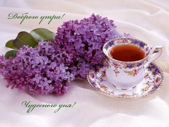 Доброе утро, Мелитополь фото