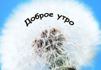 Доброе утро, Мелитополь фото