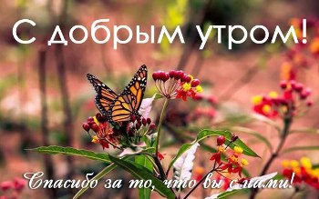 Доброе утро, Мелитополь фото