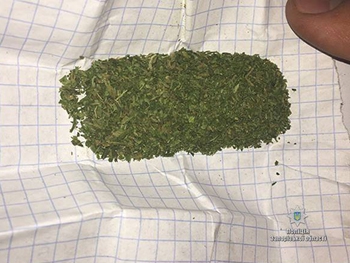 Вчера в Мелитополе выявили два факта хранения наркотиков фото