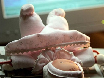 В Европе и США разоблачена крупная сеть педофилов фото