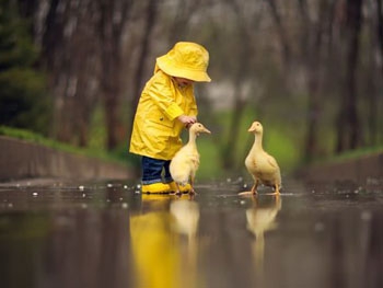 В Украине резко изменится погода: придут дожди и похолодание фото