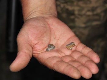 Опубликовано видео с места гибели мирных жителей в Авдеевке фото