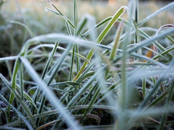 Идут заморозки: синоптики предупредили украинцев о резком ухудшении погоды фото