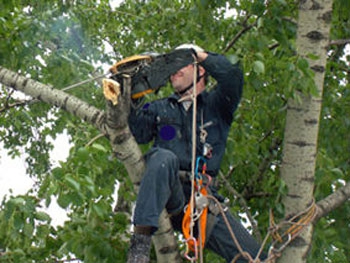 Представителя партии «Зеленых» чуть не оштрафовали за благотворительность фото