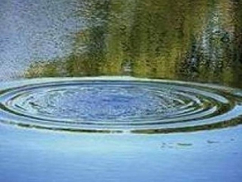 В Запорожье нашли тело утонувшего подростка фото