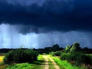 Дожди и грозы: синоптики рассказали, какой будет погода в начале недели фото
