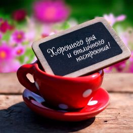 Доброе утро, Мелитополь фото