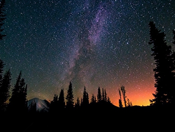 В Украине и мире начался сезон звездопадов фото