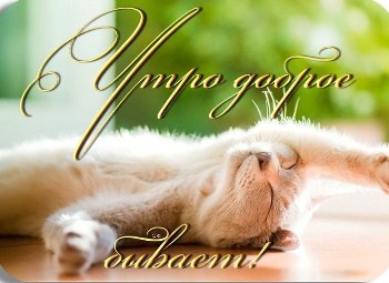 Доброе утро, Мелитополь фото